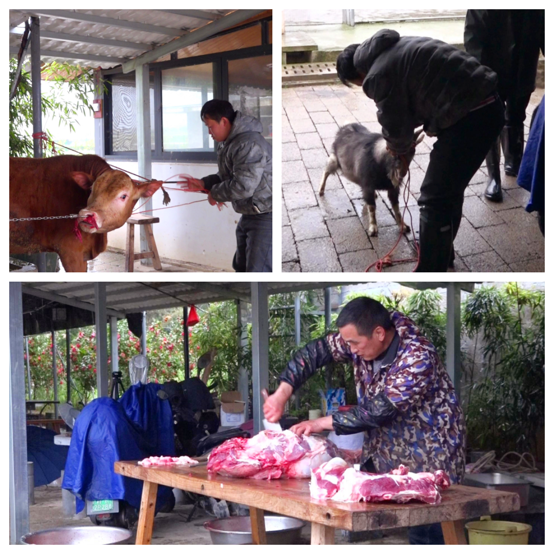 1721974140467023.png 殺牛宰羊.png