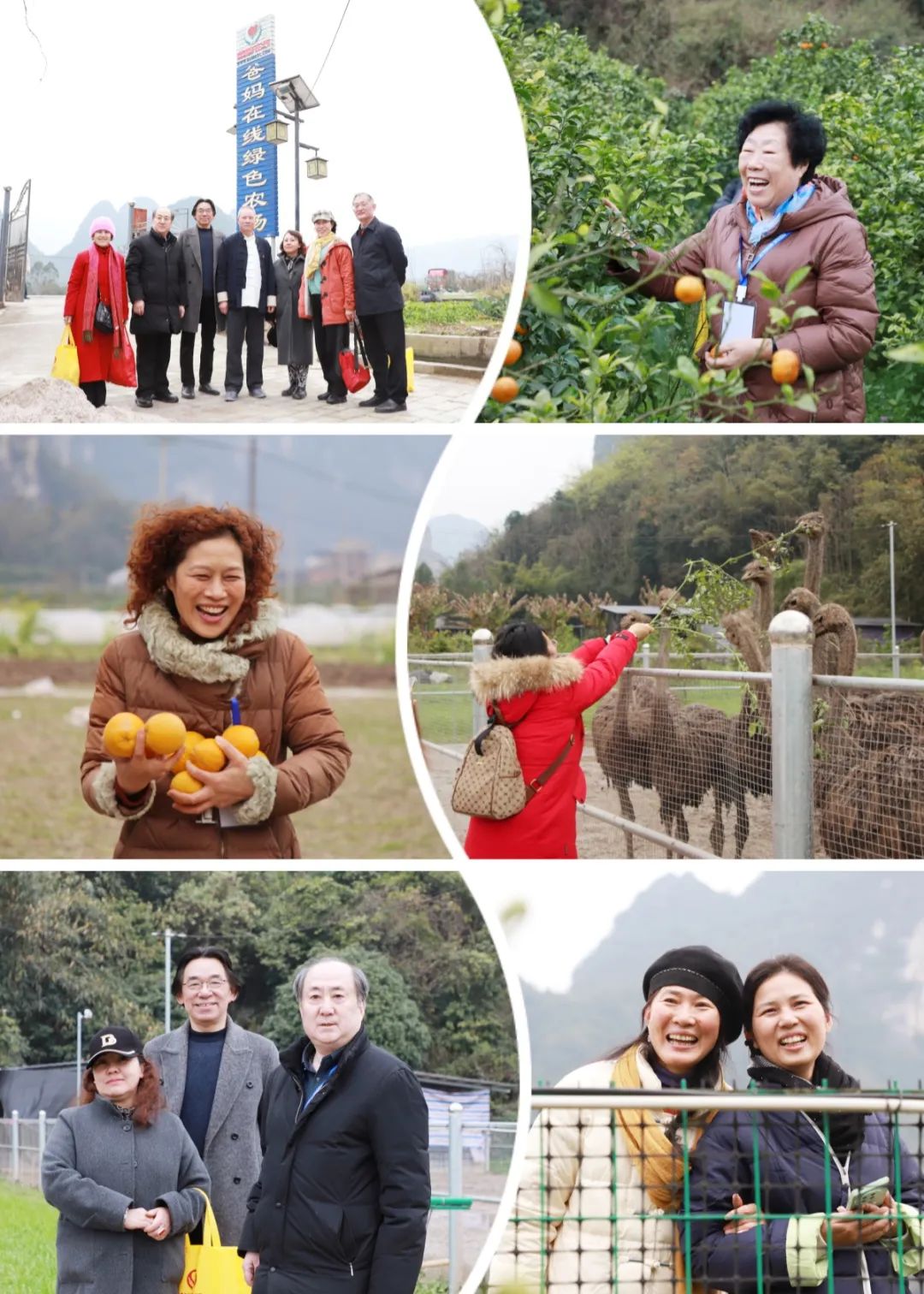 1721974326171653.jpg 開心農場.jpg