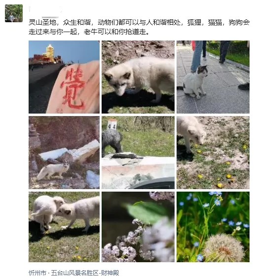 1721986979897384.jpg 1721986979897384.jpg