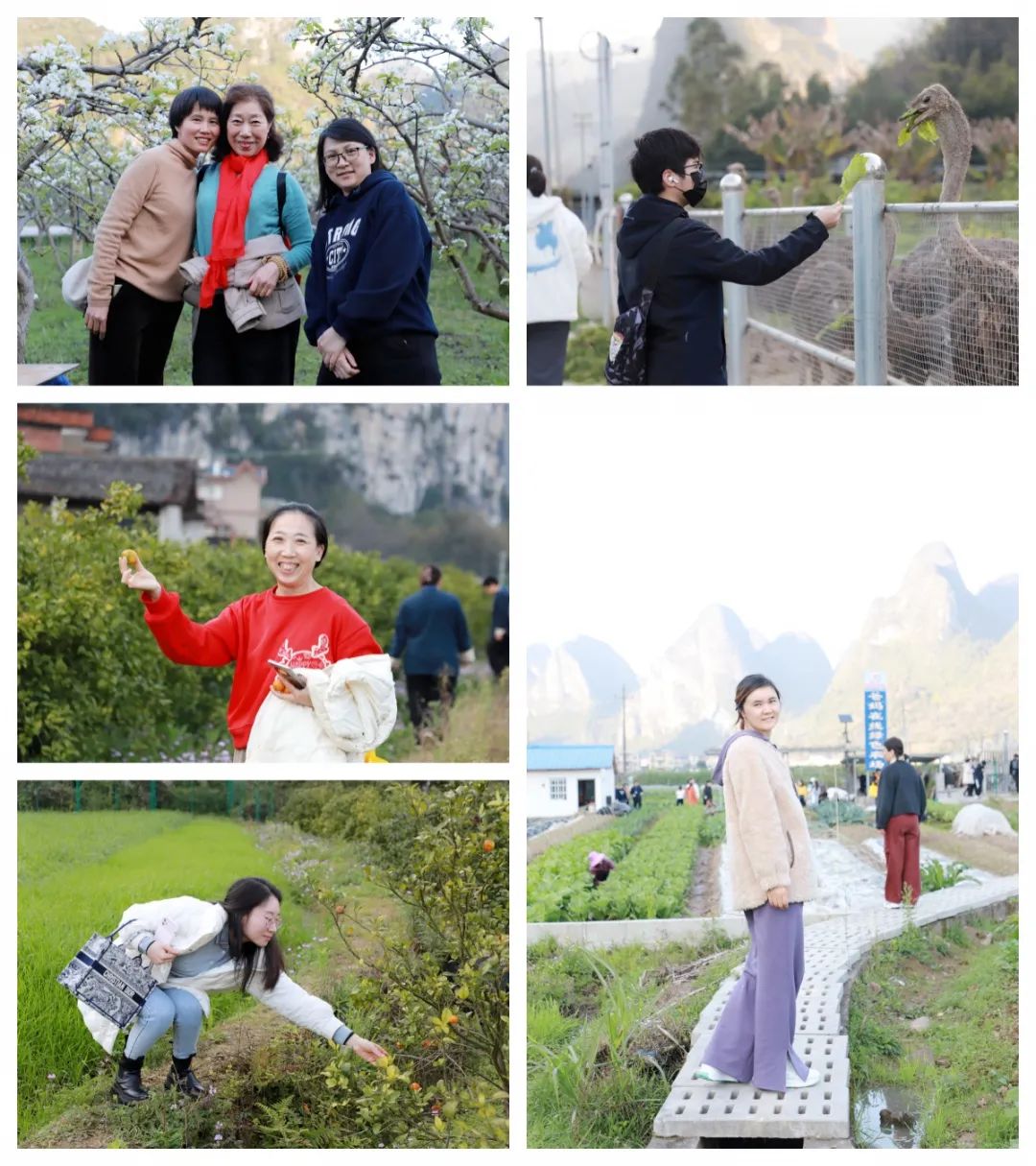 五天覺醒之旅,開啟幸福人生新篇章——第76期“生命覺醒 健康幸福”培訓(xùn)圓滿結(jié)束
