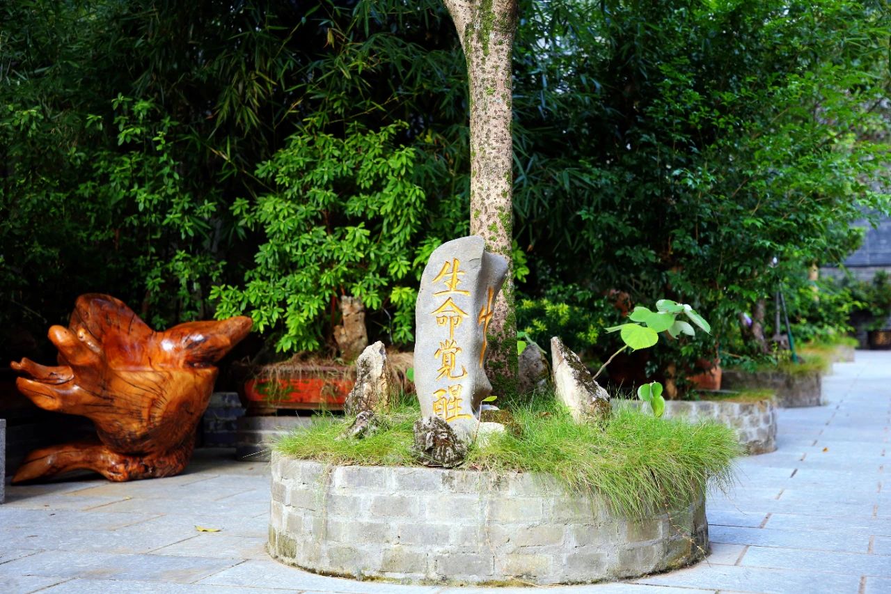 對(duì)孩子而言,什么才是最好的教育?