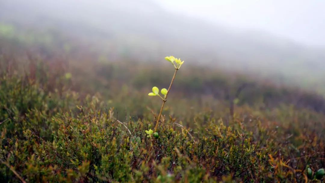 來(lái)爸媽在線學(xué)習(xí)后,我孩子的終生大事問(wèn)題解決了! 來(lái)爸媽在線學(xué)習(xí)后,我孩子的終生大事問(wèn)題解決了!