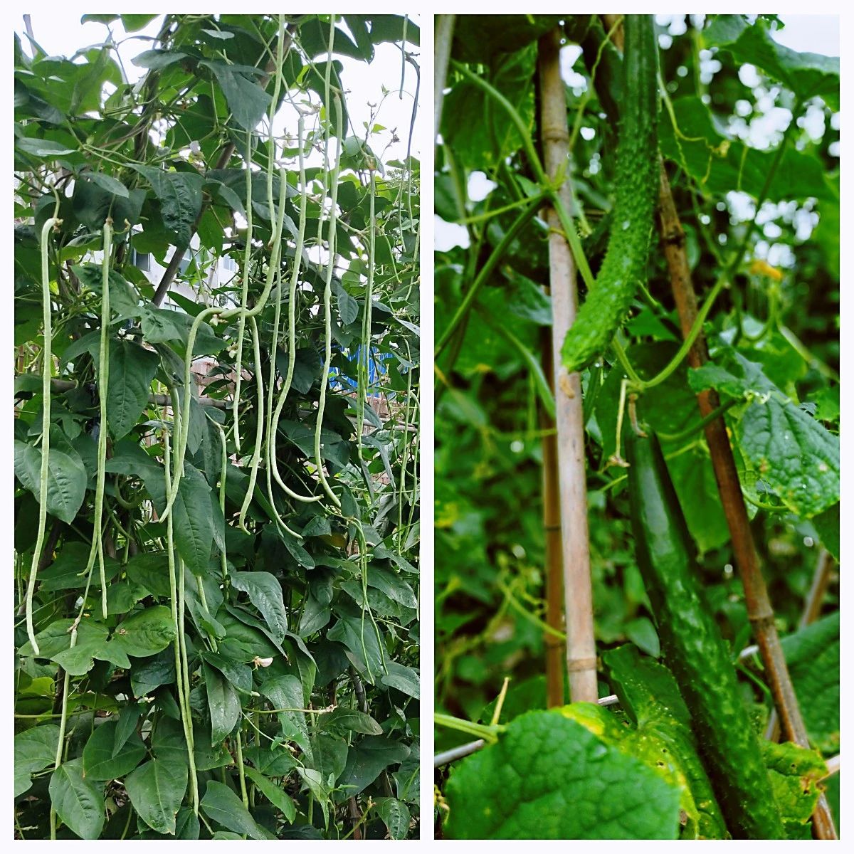 1729331722460587.jpg 微信圖片_20241019175427.jpg