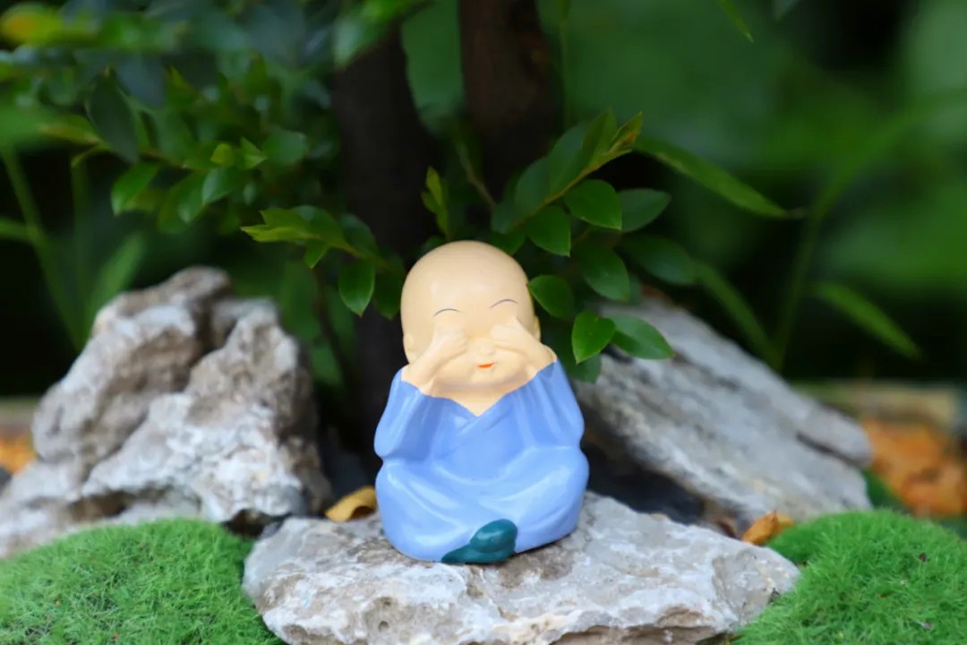 1729652925333531.jpg 1729652925333531.jpg