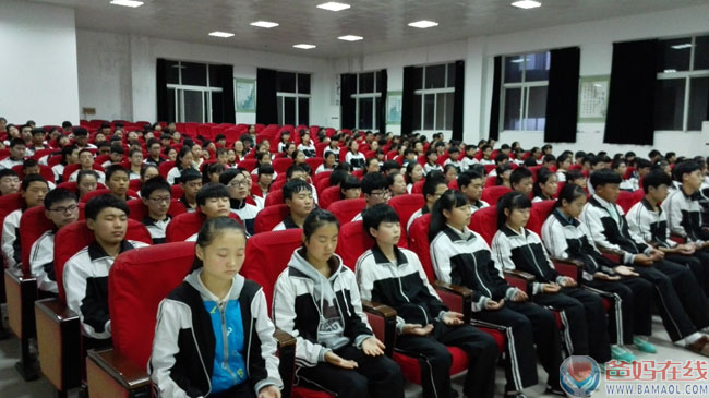 1731293966123104.jpg 6331446563449.jpg