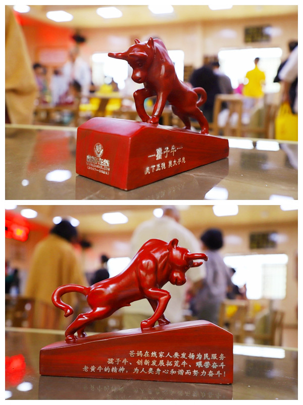 1731824174849486.jpg 1731824174849486.jpg