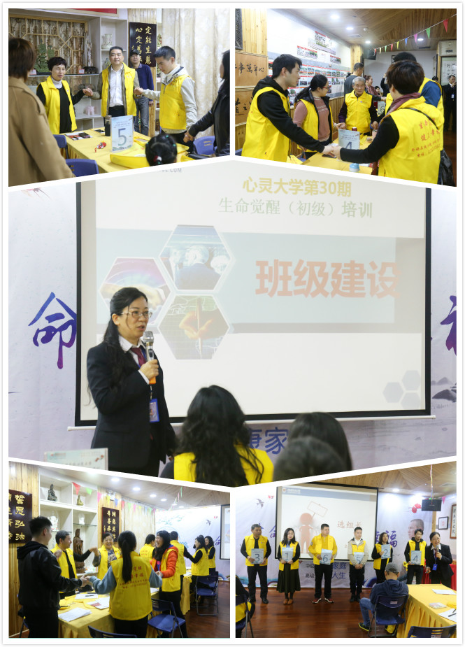 1731982768173790.jpg 1547545401198757.jpg