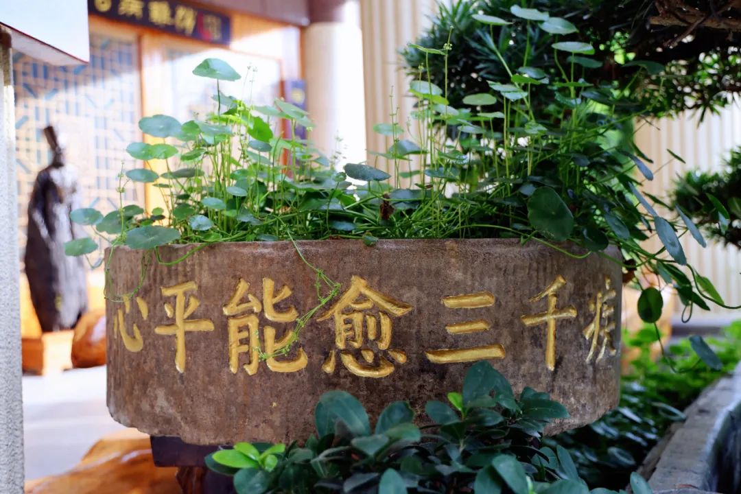 1751015441411082.jpg 1751015441411082.jpg