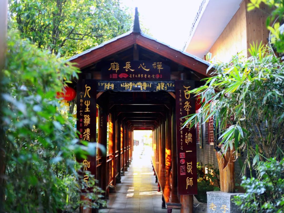 1756544543536089.jpg 1756544543536089.jpg